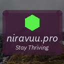 niravuu.pro